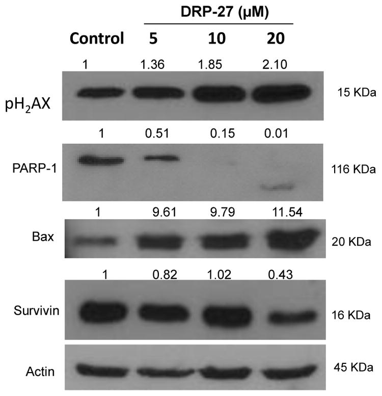 Fig. 6