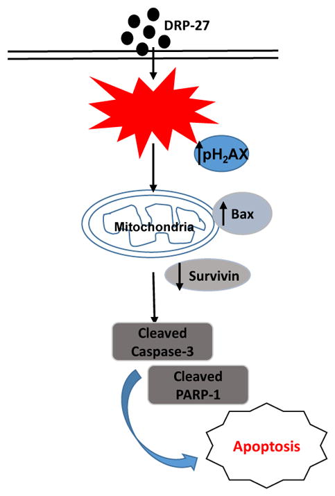 Fig. 7