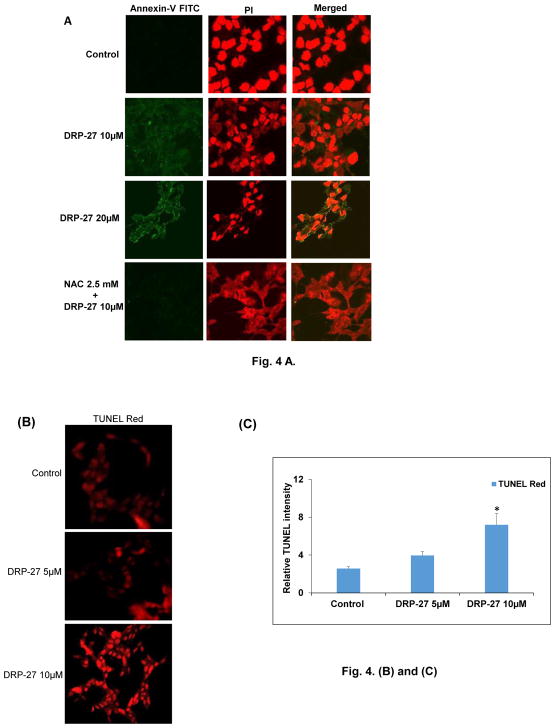 Fig. 4