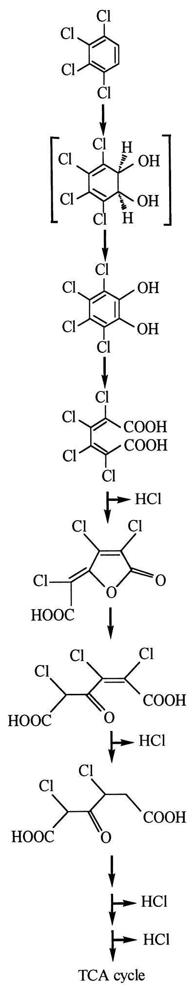 FIG. 7