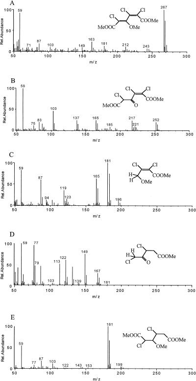 FIG. 6