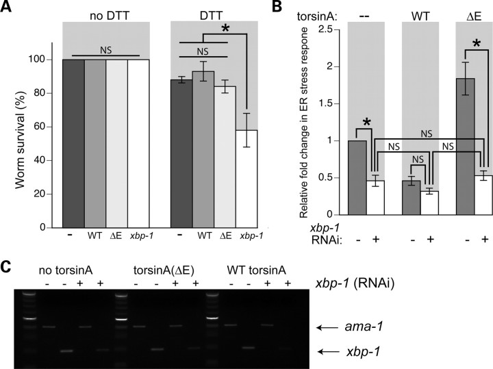 Figure 2.