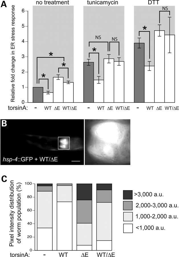 Figure 3.