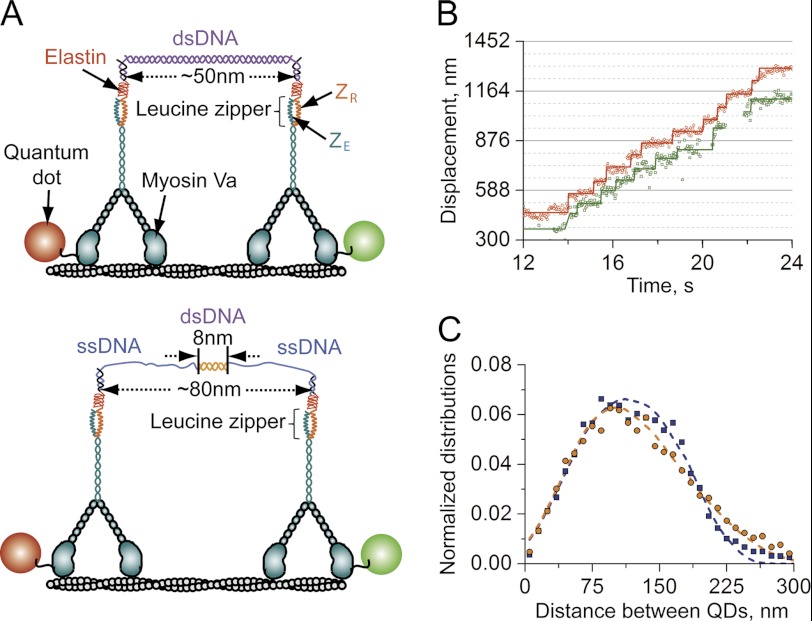 FIGURE 1.