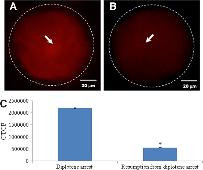 FIG. 9.