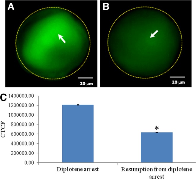 FIG. 7.