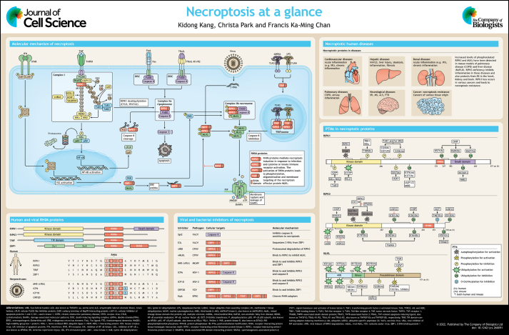 graphic file with name joces-135-260091-g1.jpg