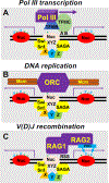 Figure 2: