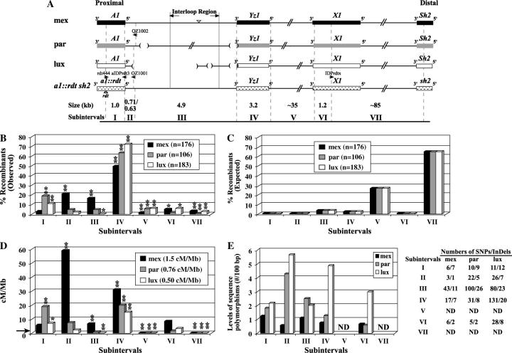 Figure 2.—