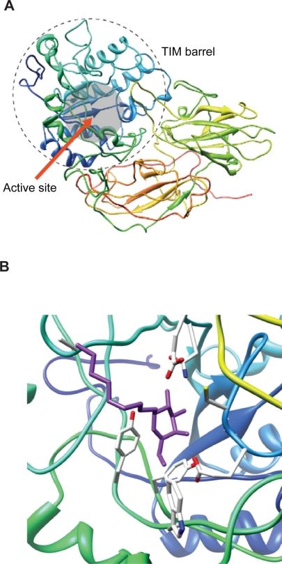 Figure 5.