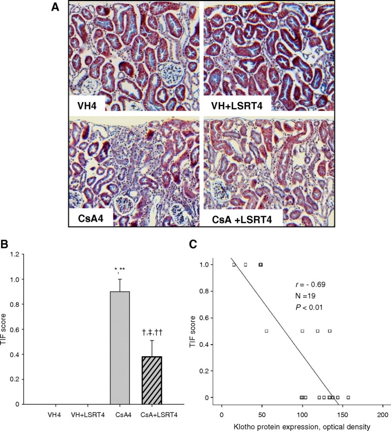 Fig. 7