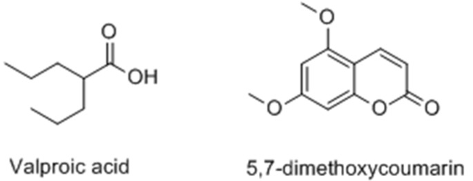 Figure 20