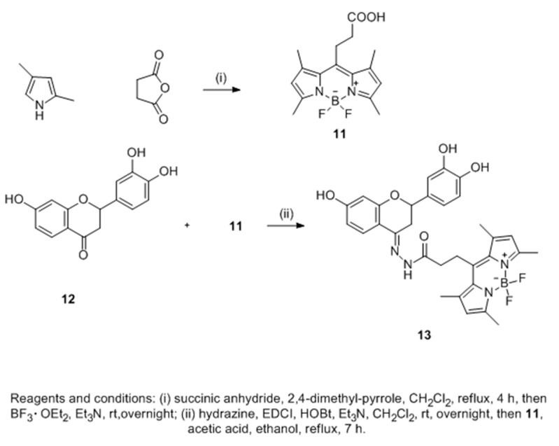 Scheme 2