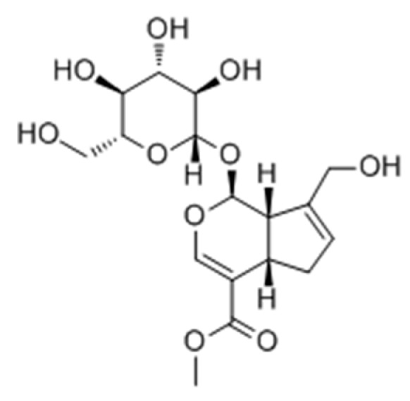 Figure 24