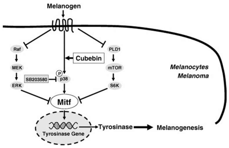 Figure 35