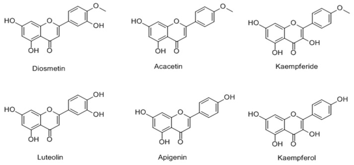 Figure 17