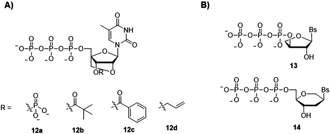 Fig. 5