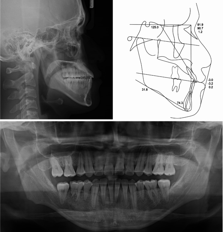 Fig. 8