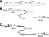 FIG. 1.
