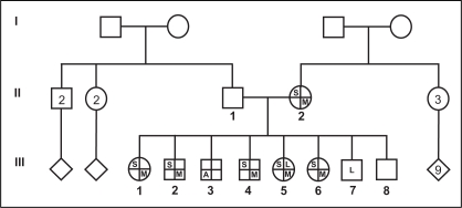 Figure 1)