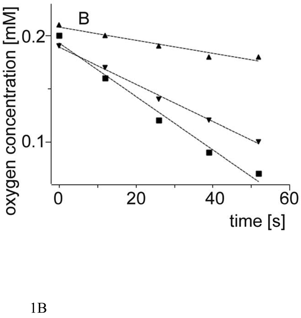 Fig.1