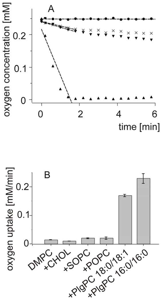 Fig.2