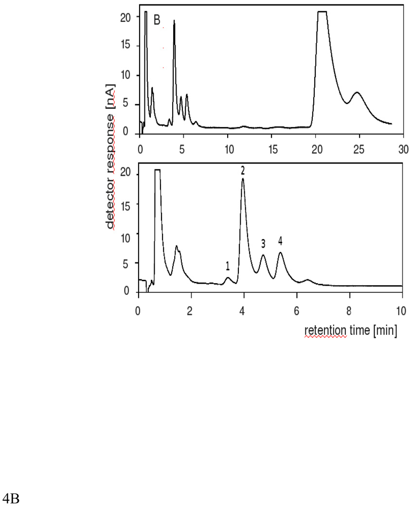 Fig.4