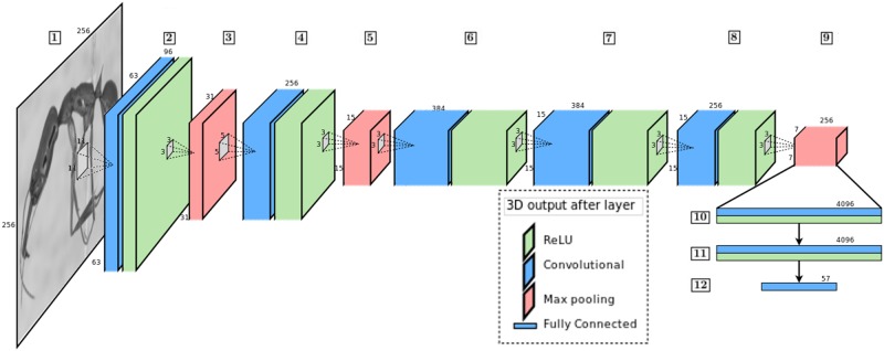 Fig 4