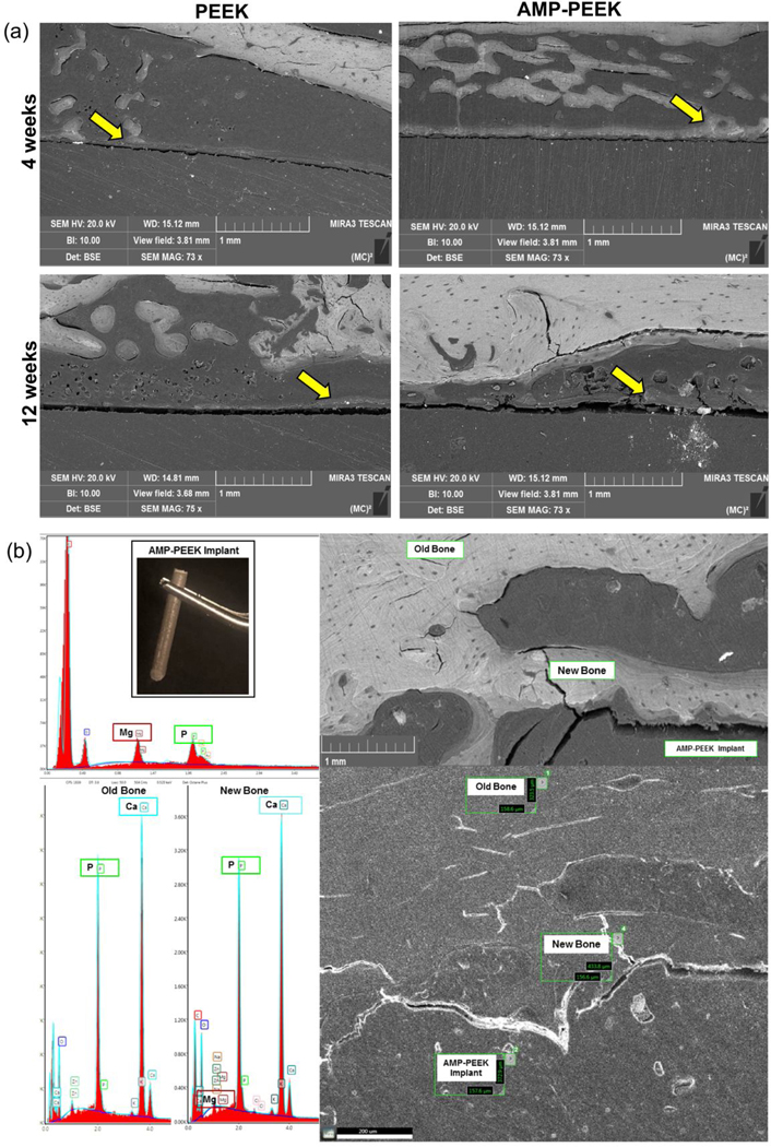 Figure 10.