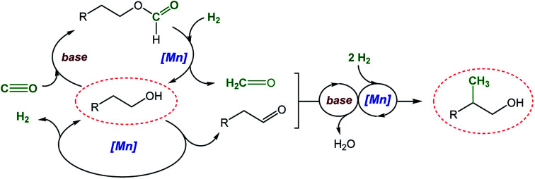 Scheme 2