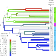Fig. 4.