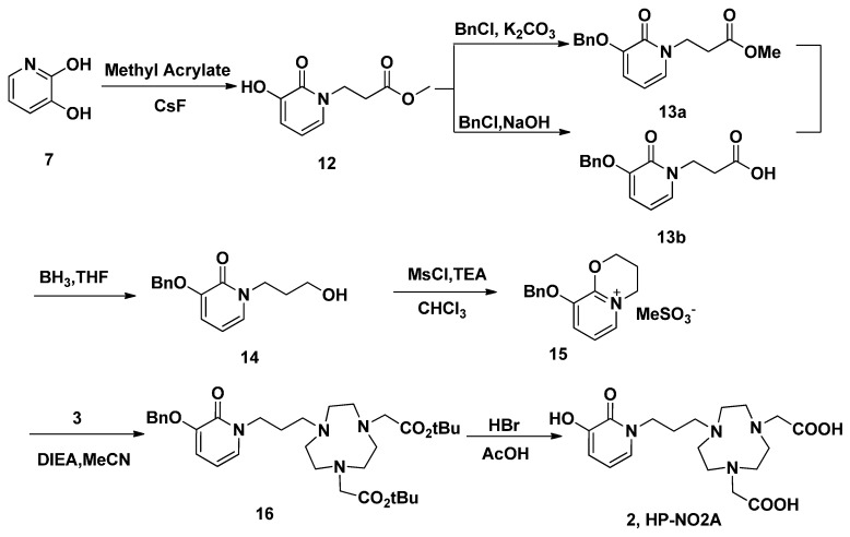 Scheme 4