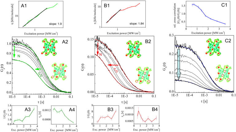 FIGURE 2