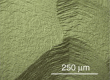 SEM image showing macroscopic step-bunching on the surface of an SCD sample grown using nitrogen-containing gas mixtures.