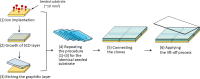 Procedure to produce clones and tiled clones.