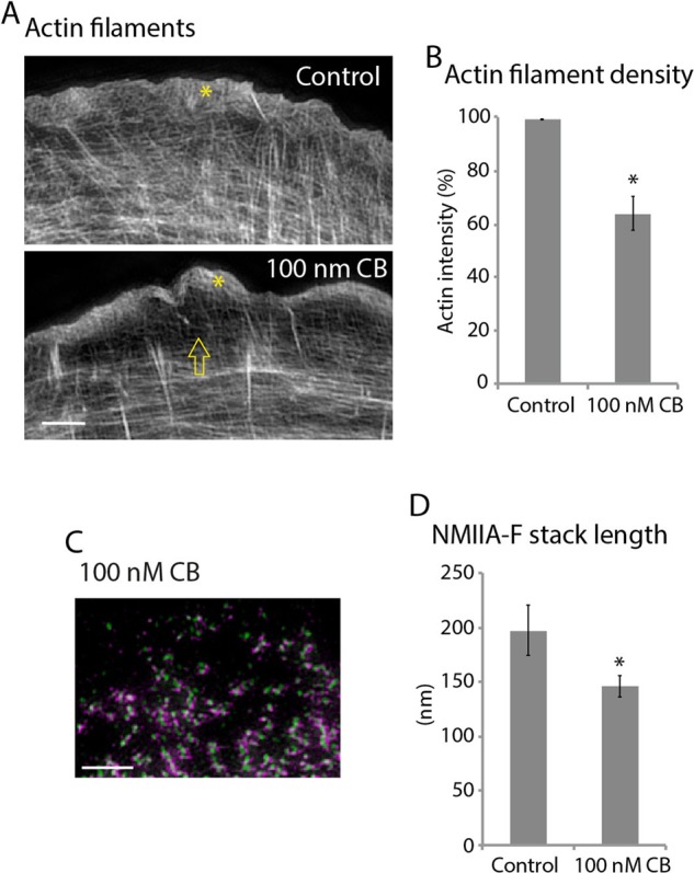 FIGURE 4: