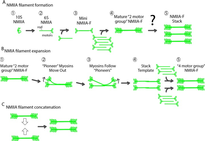 FIGURE 6: