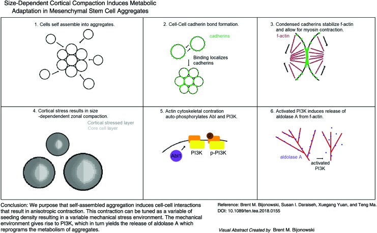 graphic file with name fig-7.jpg