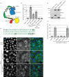 Figure 2.