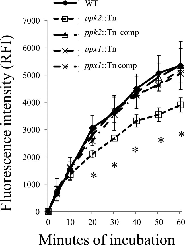 FIG 4