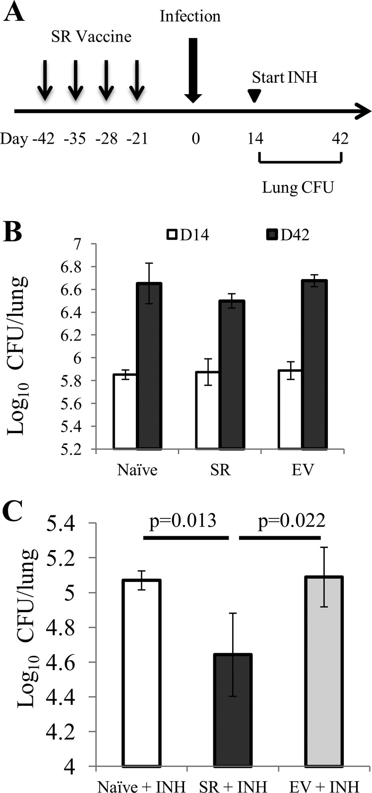 FIG 6