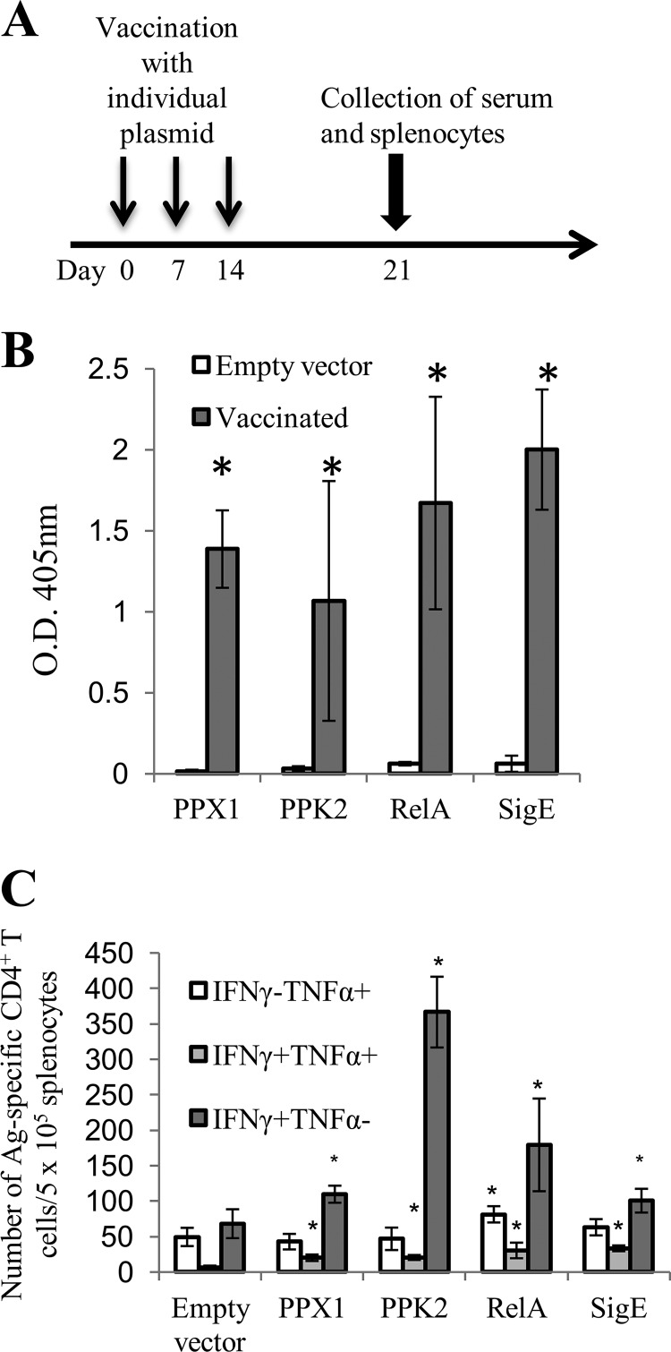 FIG 5