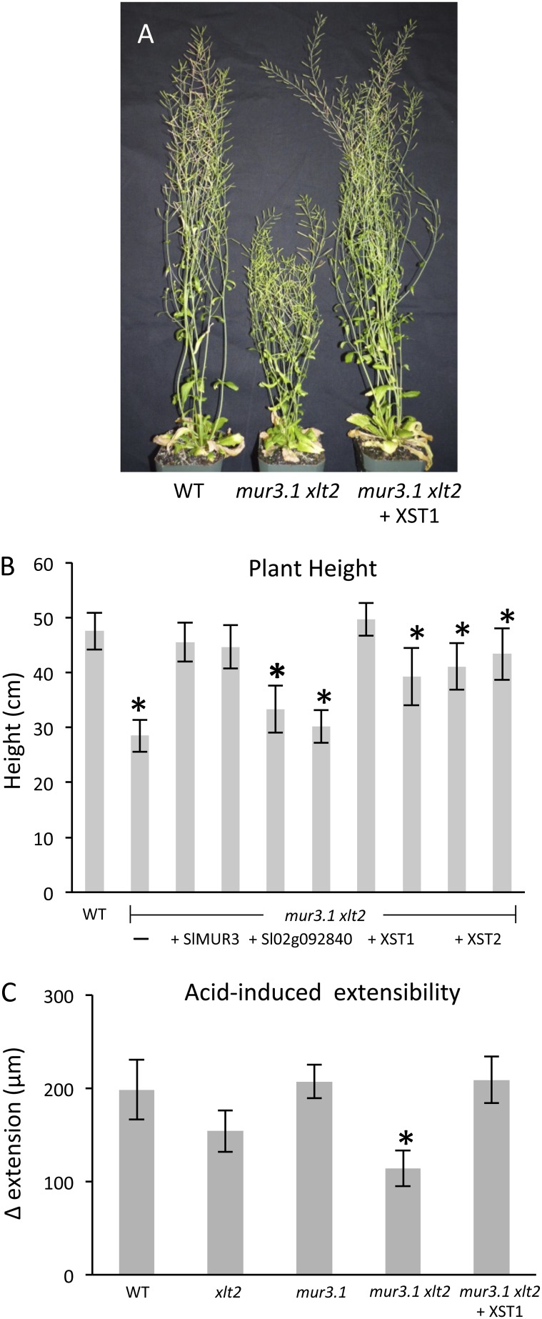 Figure 5.