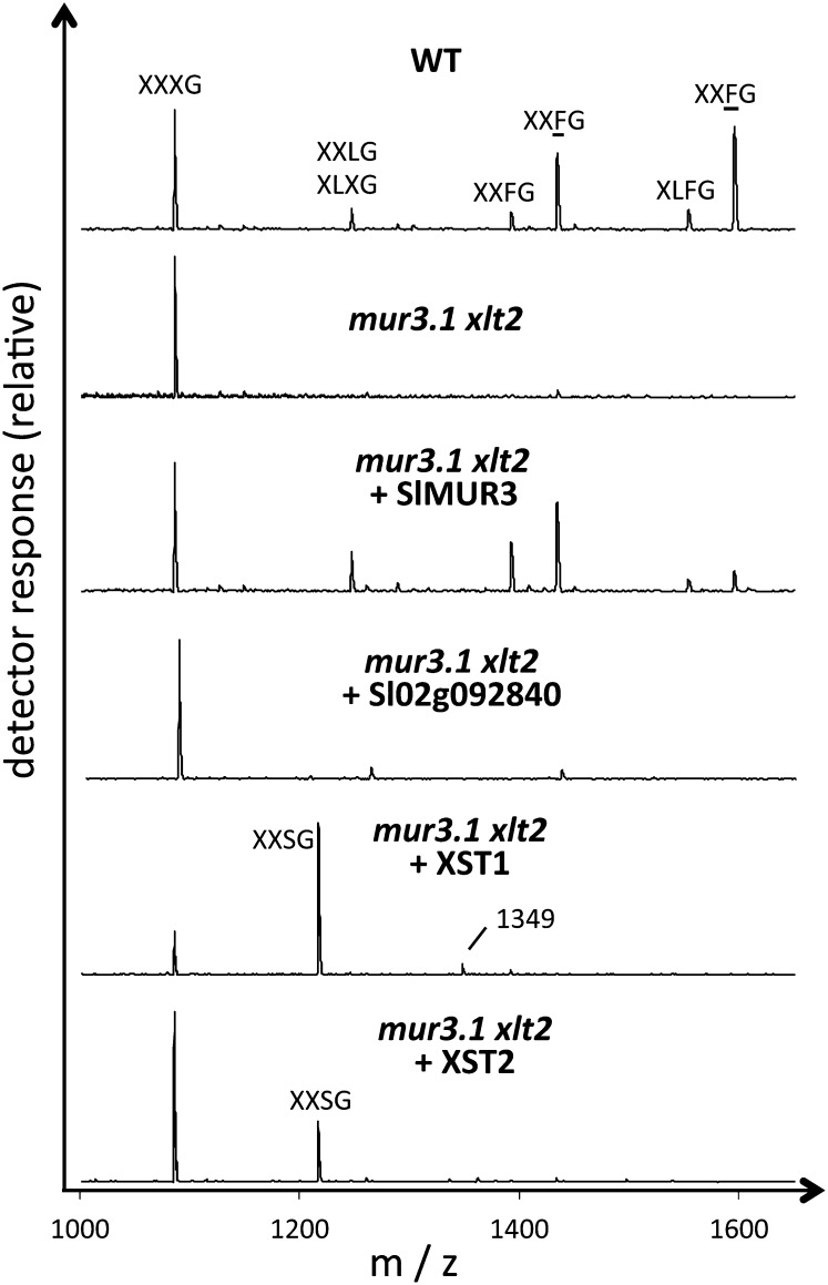 Figure 3.