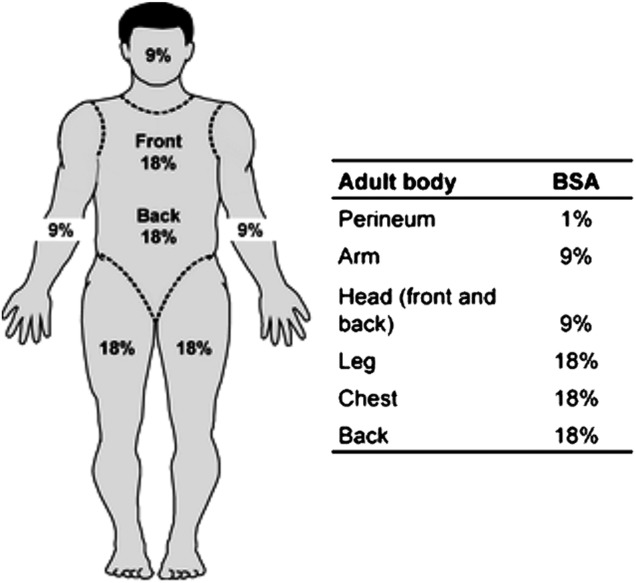 Figure 1