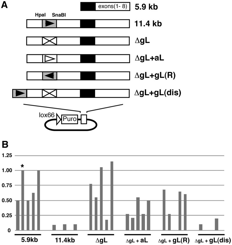 Figure 6.