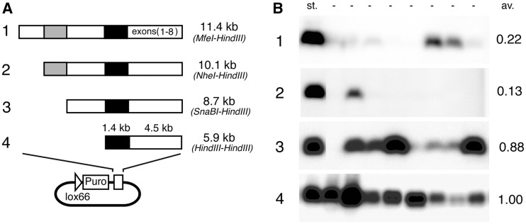 Figure 2.