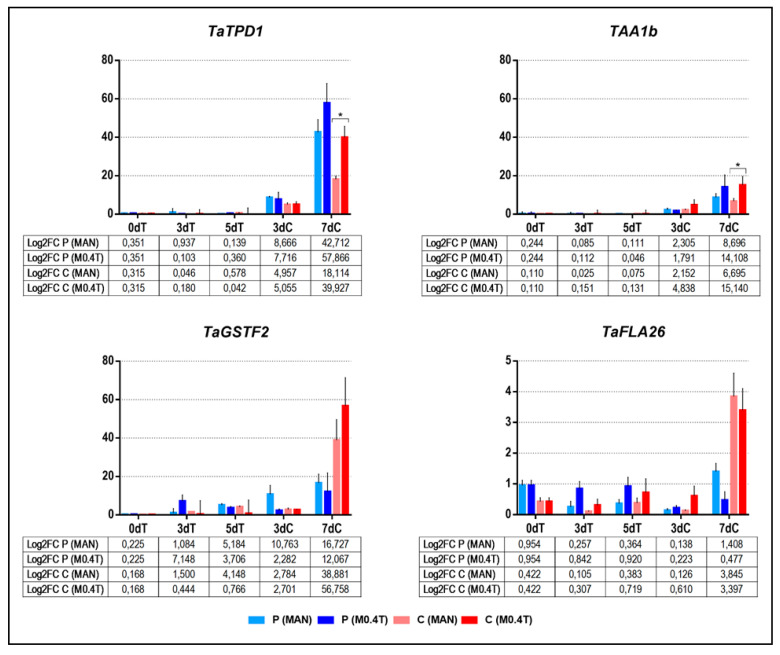 Figure 4