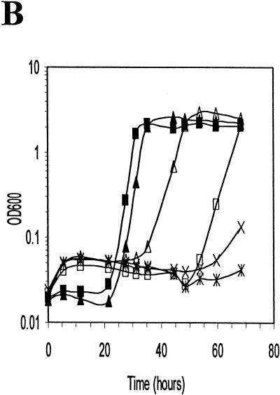 FIG. 5