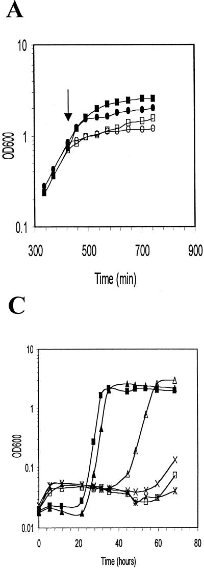 FIG. 5